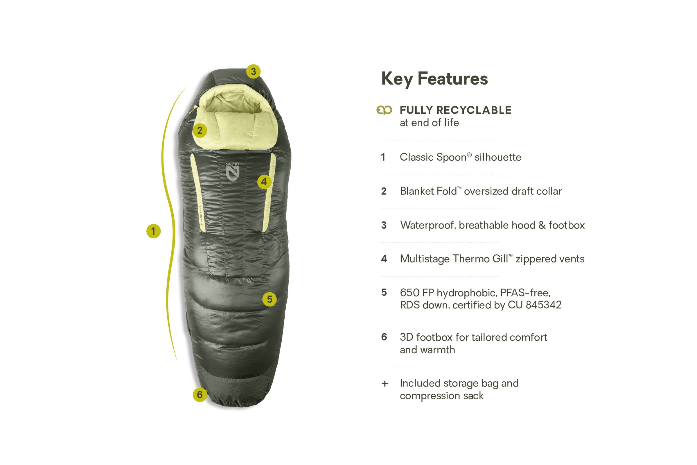 Disco™ Women's Endless Promise® Down Sleeping Bag